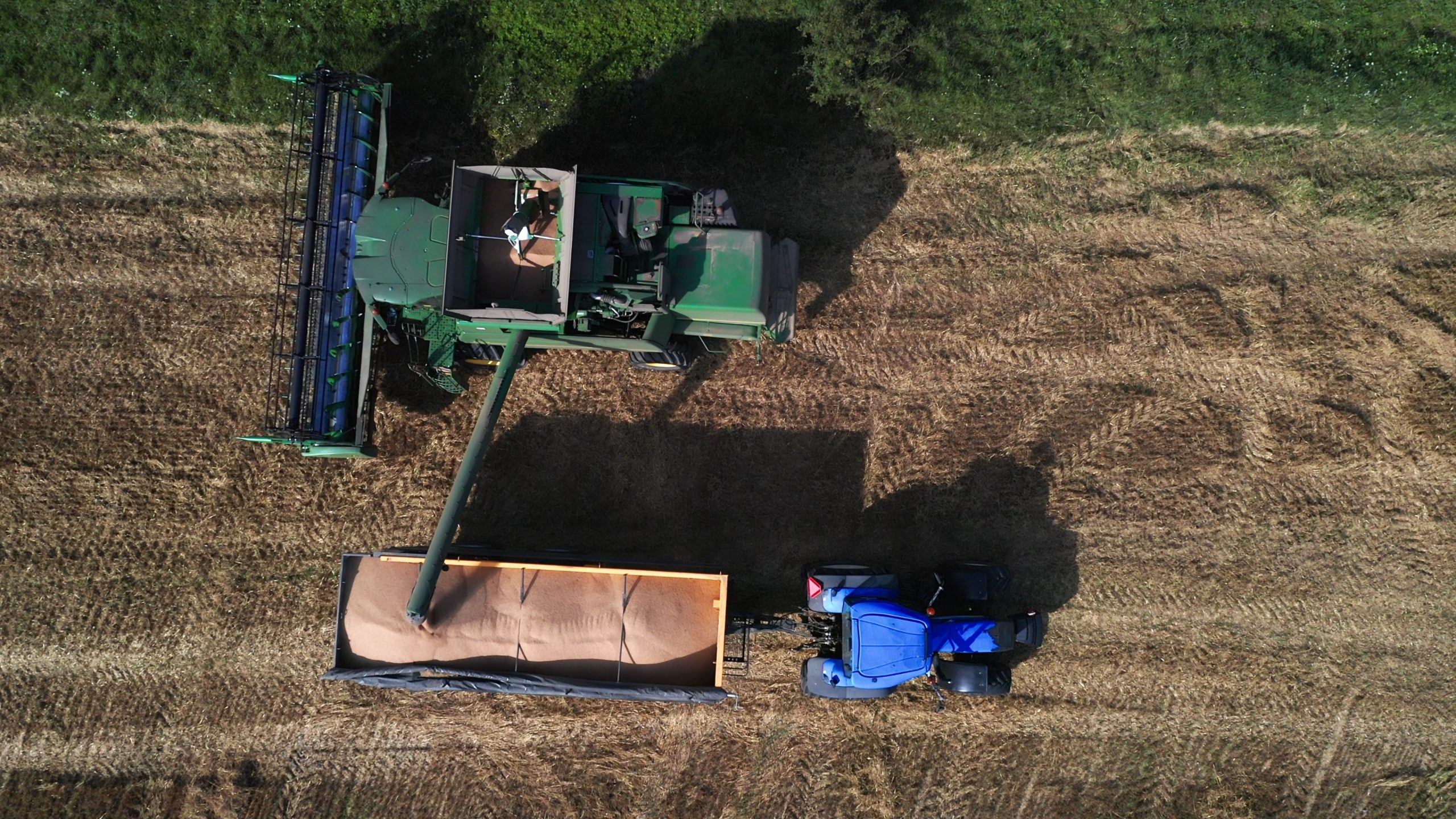 Still 2025-10-07 161022_1.3.1 (2)