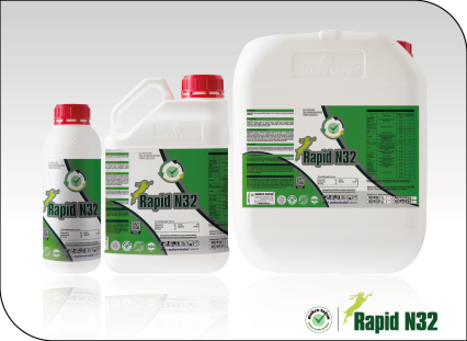 Rapid N32