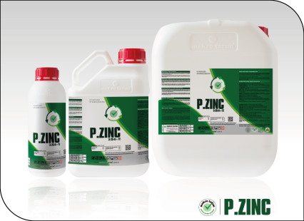 P.Zinc