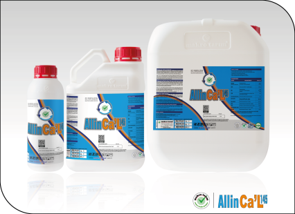 AllinCa 'L 145