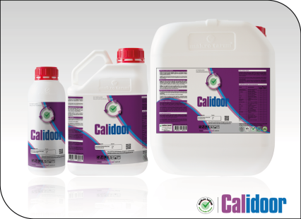 Calidoor