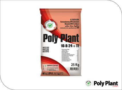 Poly Plant 16-8-24+TE